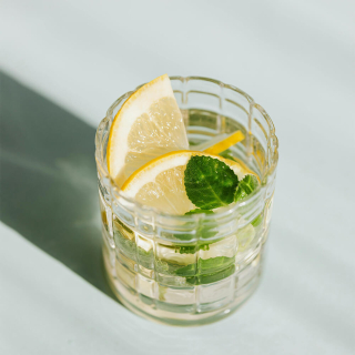Džin Tonik (Gin Tonic)