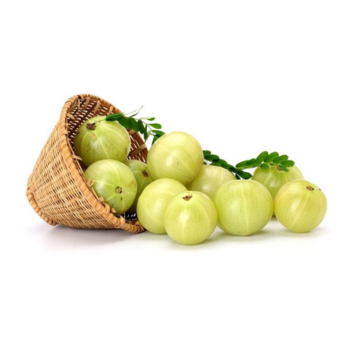 Ogrozd