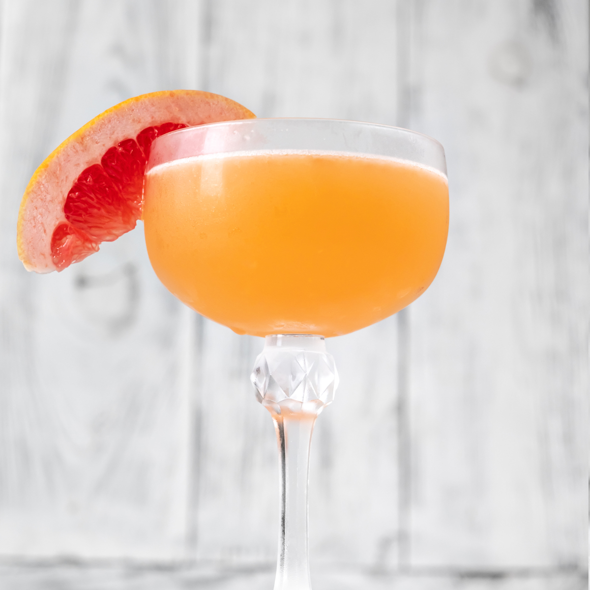 Čivava Margarita (Chihuahua Margarita)