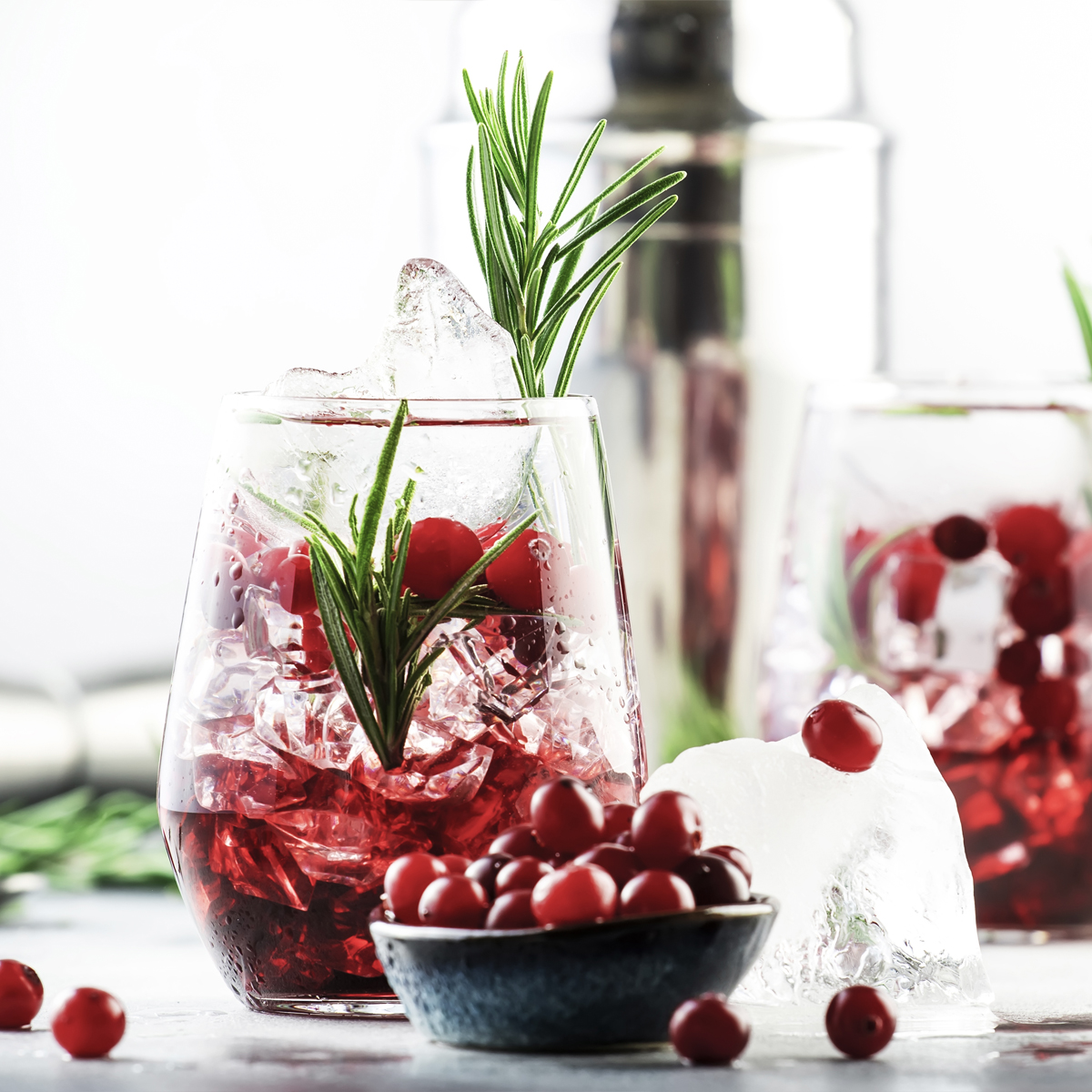 Zimska Brusnica (Winter Cranberry)
