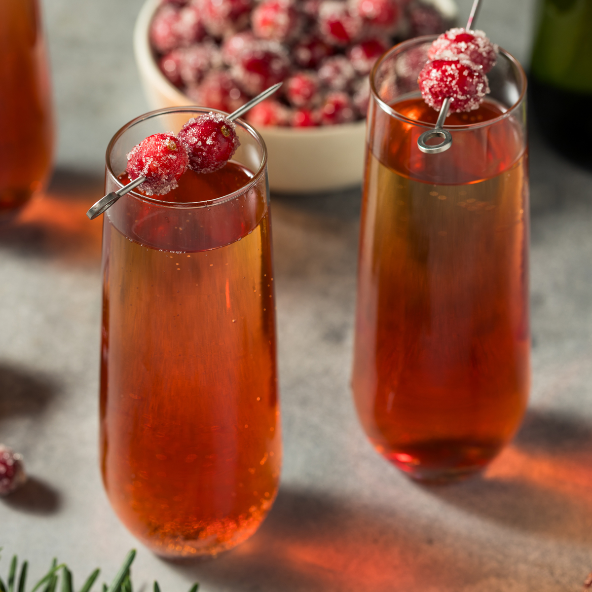 Brusnica Mimoza (Cranberry Mimosa)