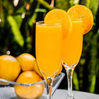 Mimoza (Mimosa)